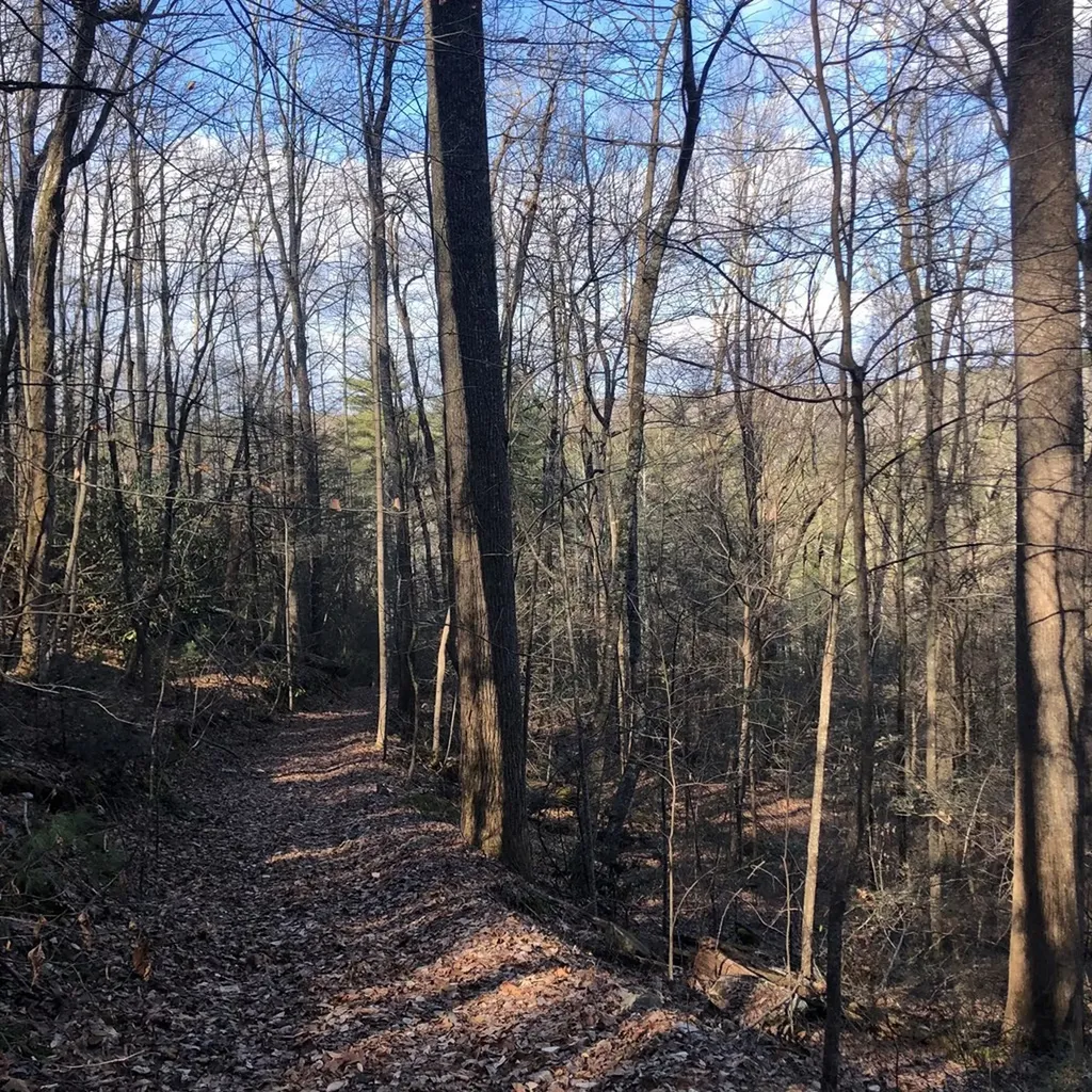 450 Holder Cemetery Road Tellico Plains TN 37385