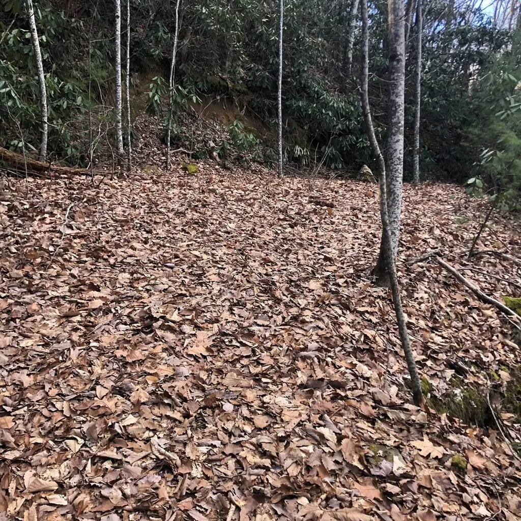 450 Holder Cemetery Road Tellico Plains TN 37385