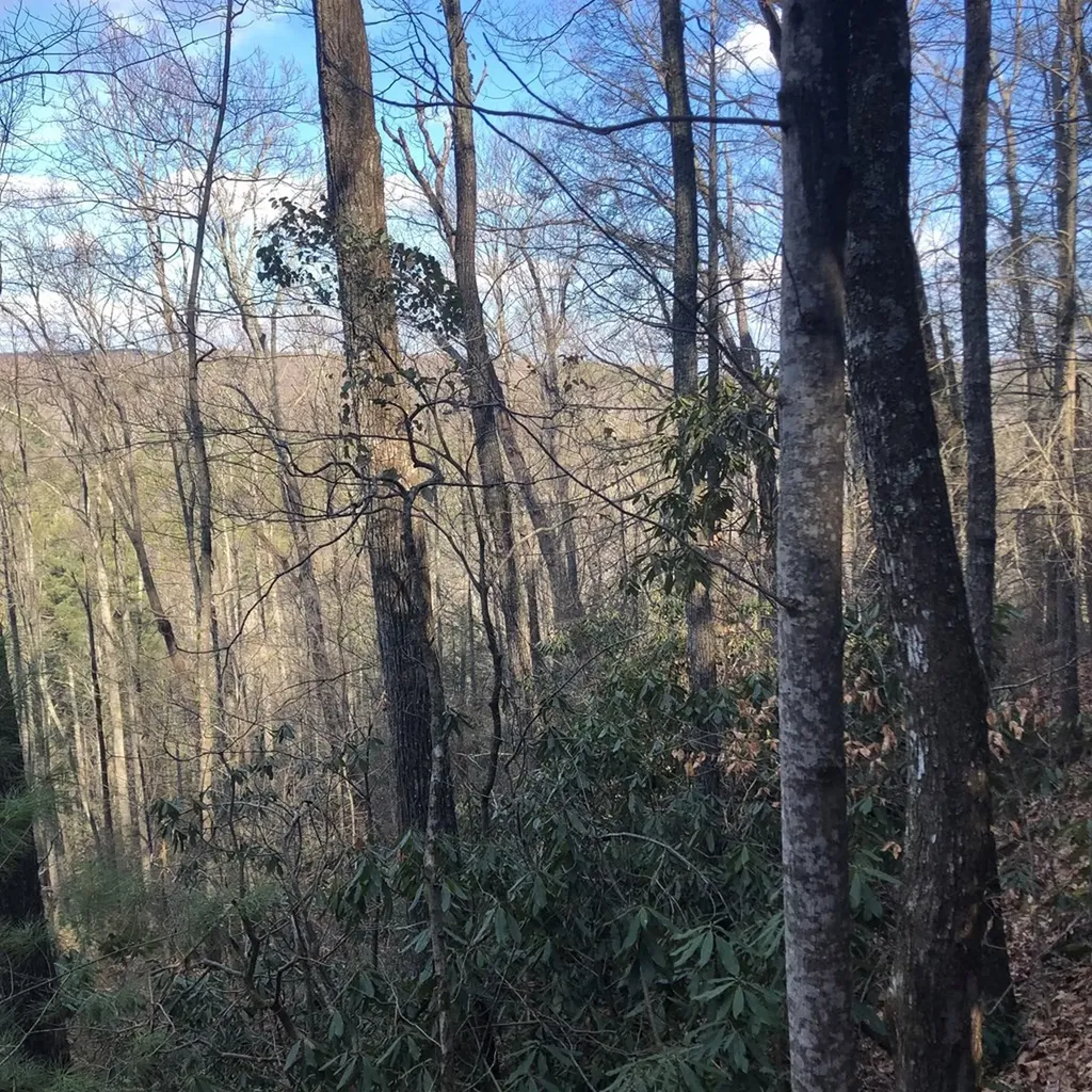 450 Holder Cemetery Road Tellico Plains TN 37385