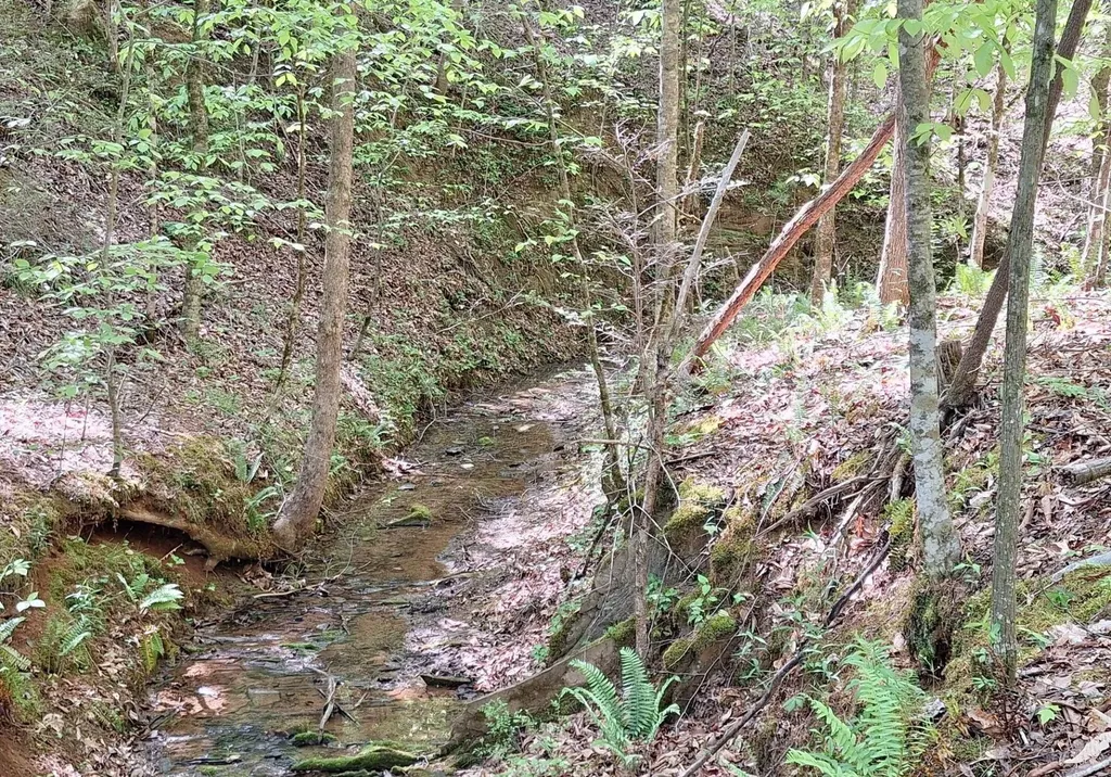 374 Payne Road Tellico Plains TN 37385