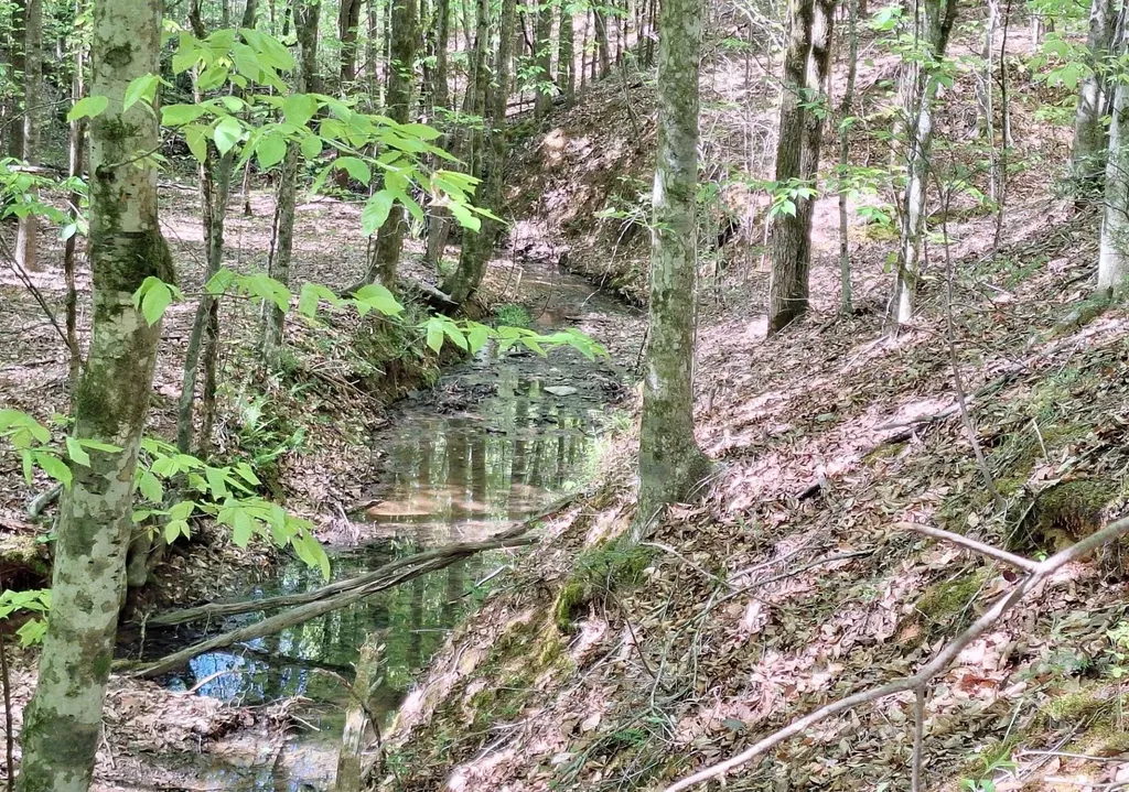 374 Payne Road Tellico Plains TN 37385
