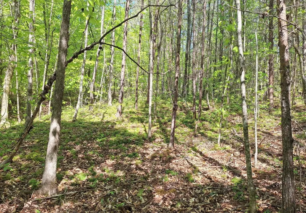 374 Payne Road Tellico Plains TN 37385