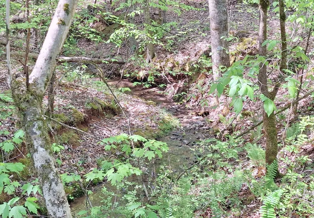 374 Payne Road Tellico Plains TN 37385
