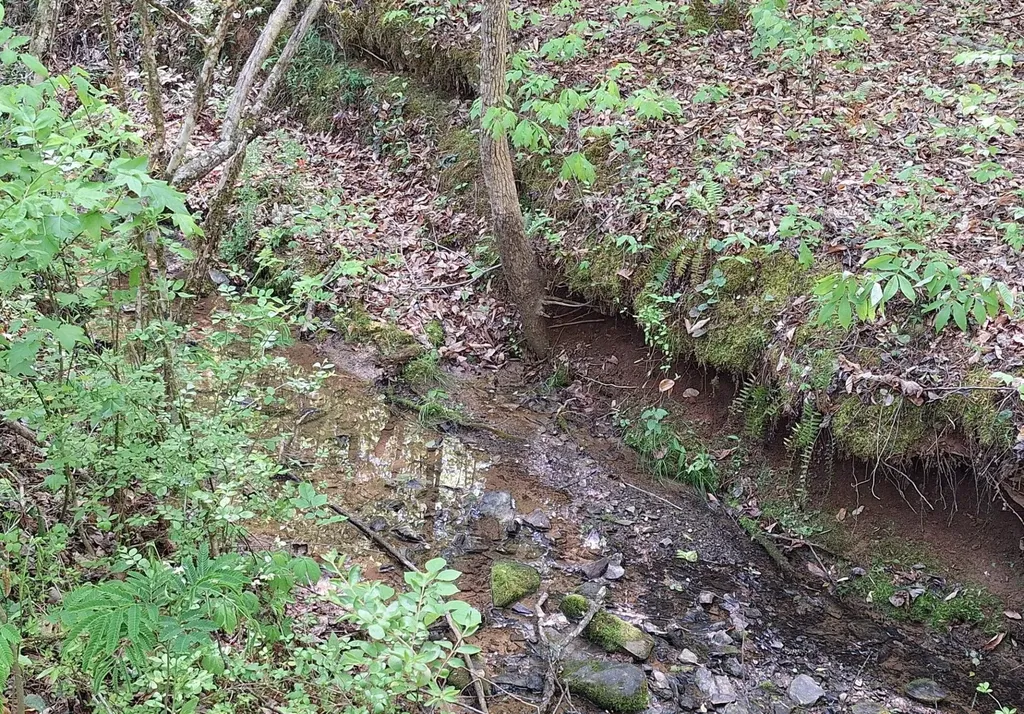 374 Payne Road Tellico Plains TN 37385