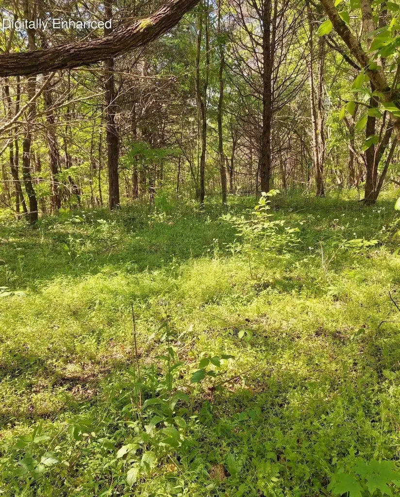 374 Payne Road Tellico Plains TN 37385