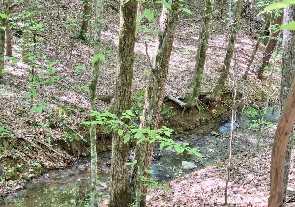 374 Payne Road Tellico Plains TN 37385