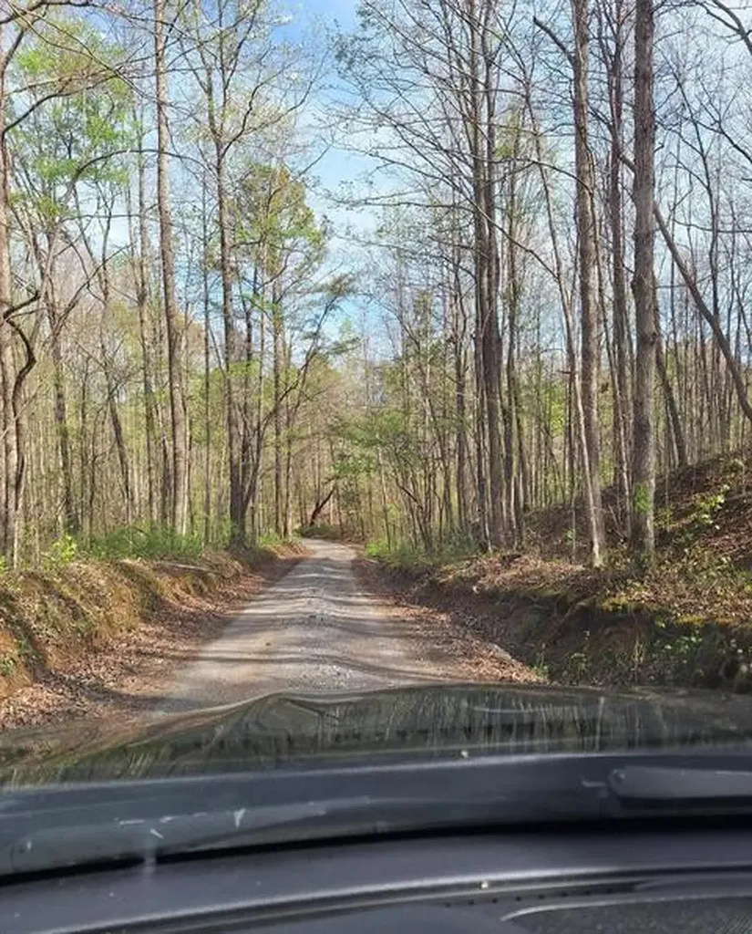 180 Walker Road Tellico Plains TN 37385