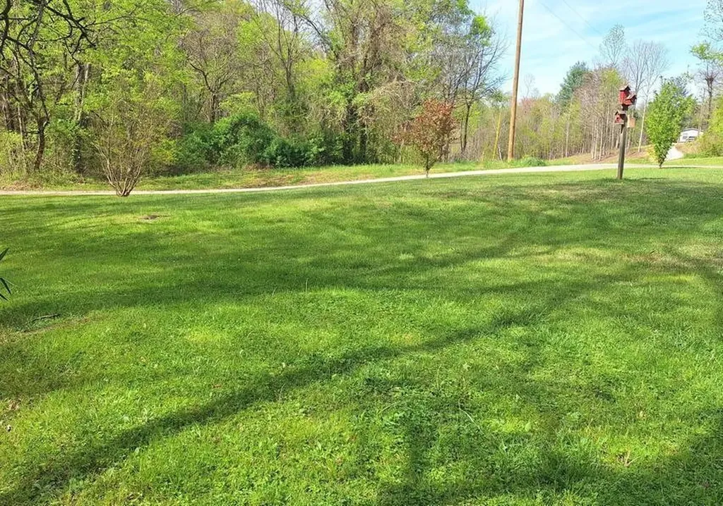 180 Walker Road Tellico Plains TN 37385