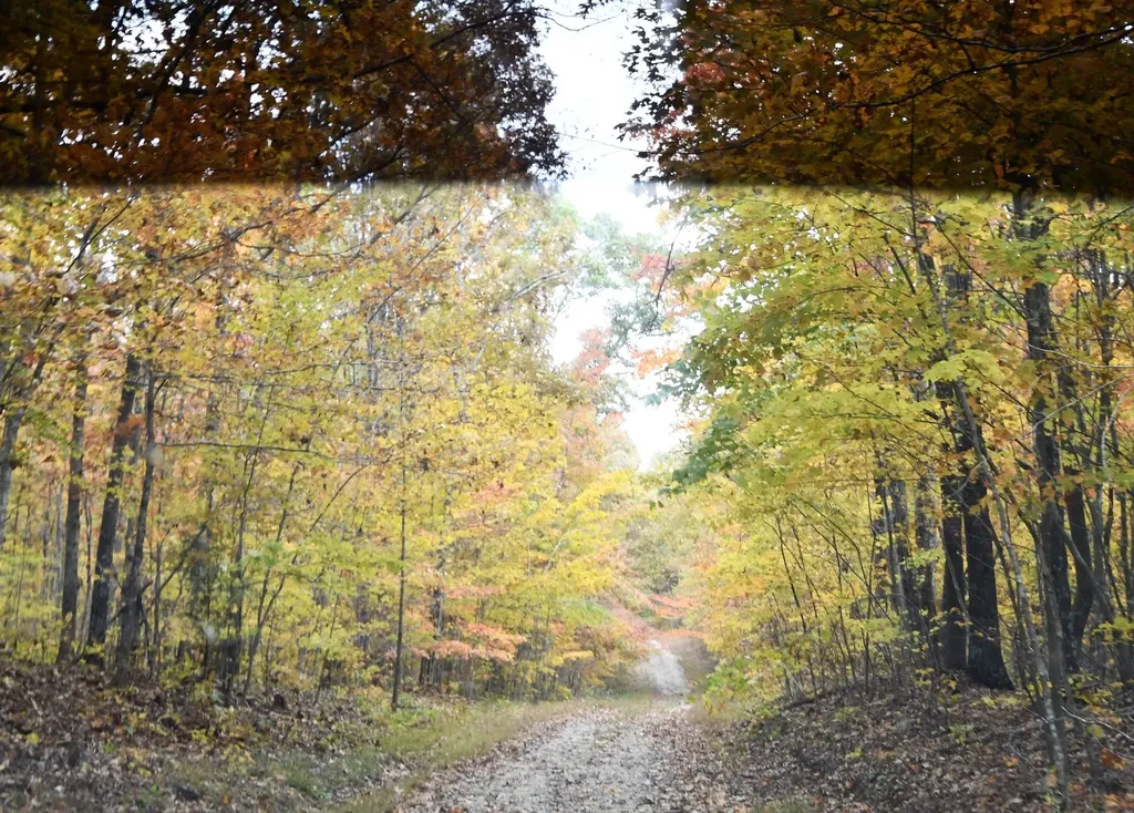 102 Swimming Deer Lot 14b Graysville TN 37338