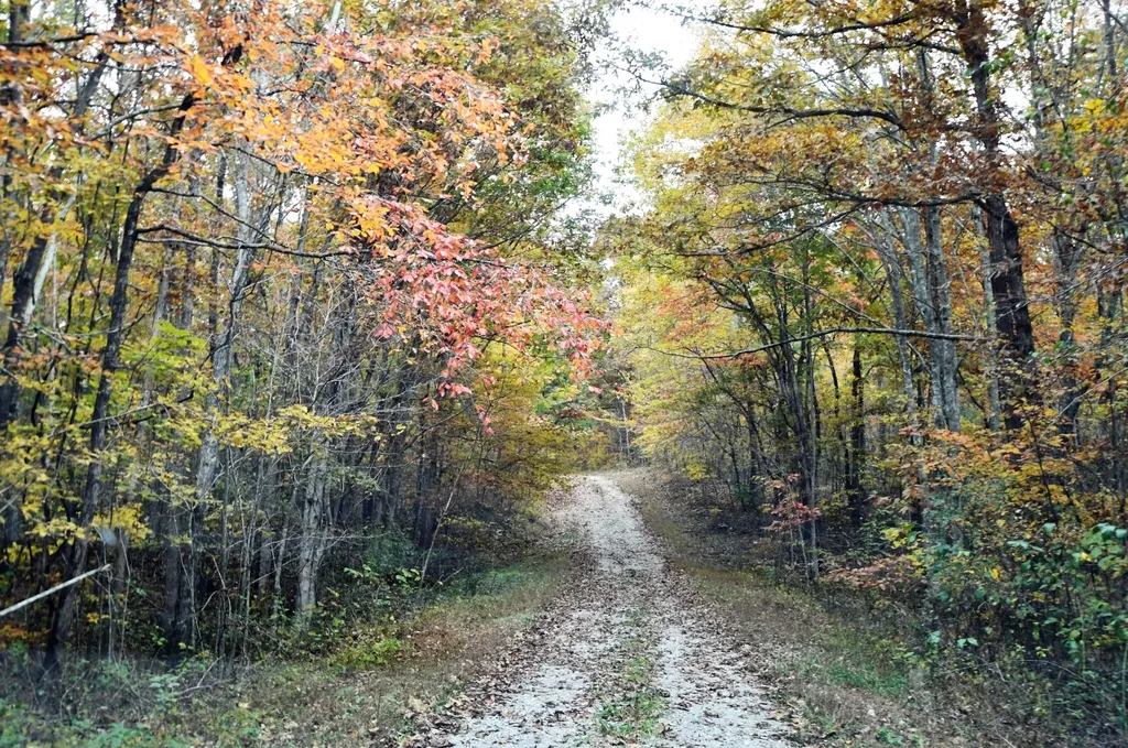 102 Swimming Deer Lot 14b Graysville TN 37338
