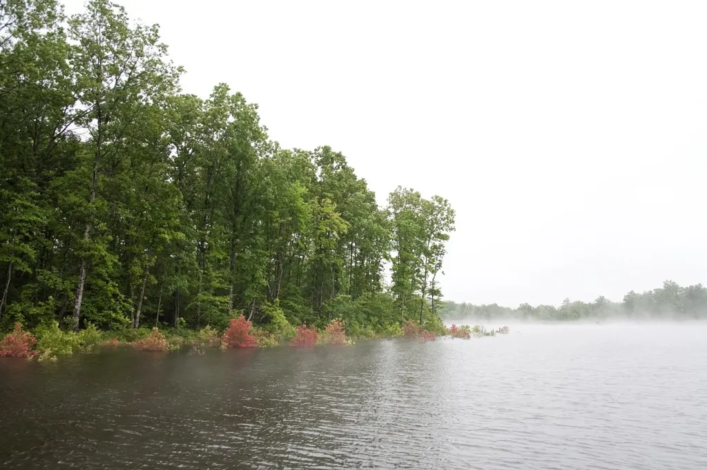 102 Swimming Deer Lot 14b Graysville TN 37338