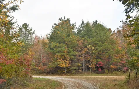 102 Swimming Deer Lot 14b Graysville TN 37338
