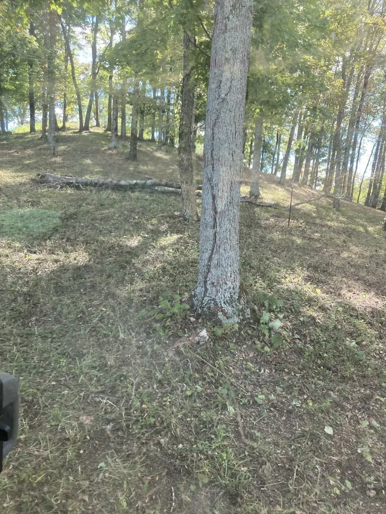 405 Maury Lane Smithville TN 37166