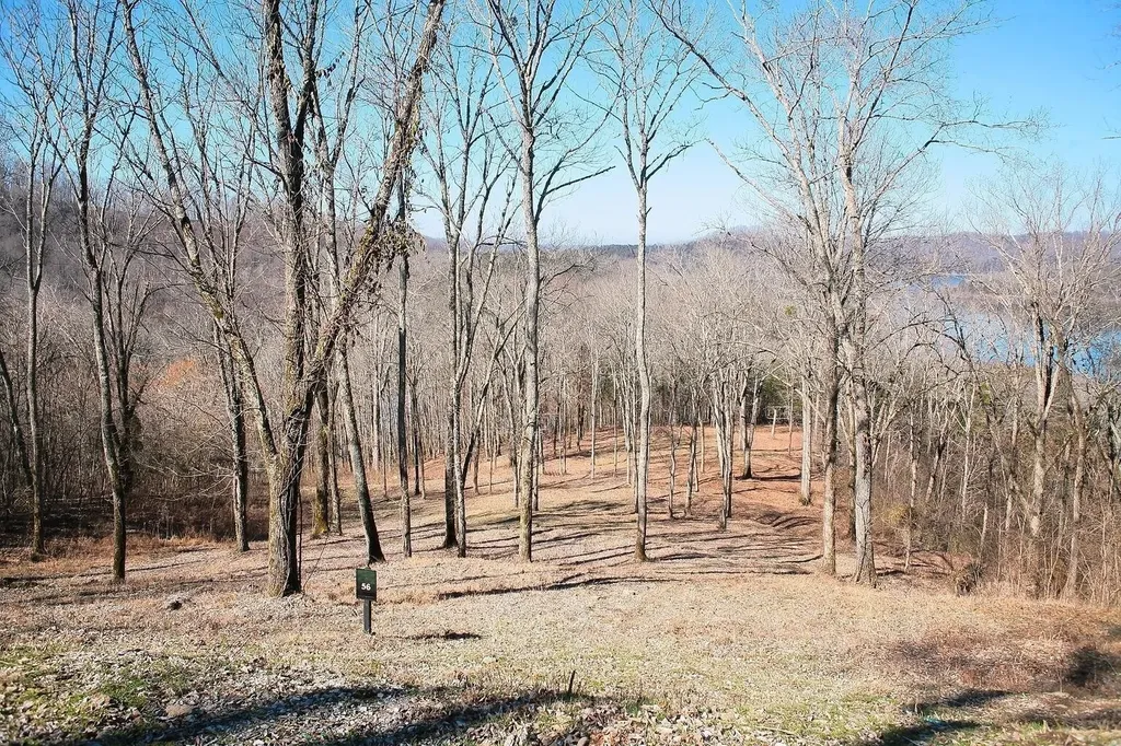 405 Maury Lane Smithville TN 37166