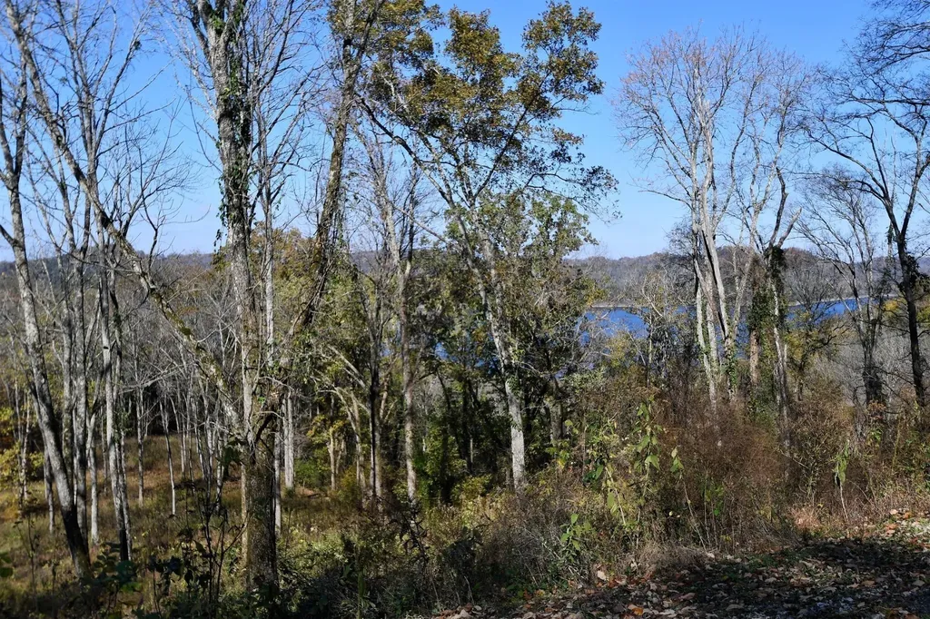 405 Maury Lane Smithville TN 37166