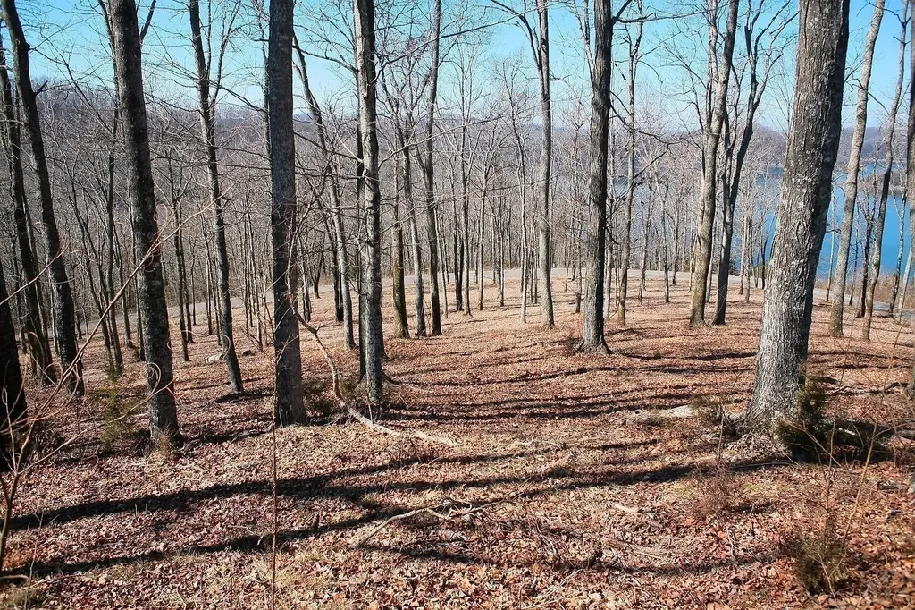 405 Maury Lane Smithville TN 37166