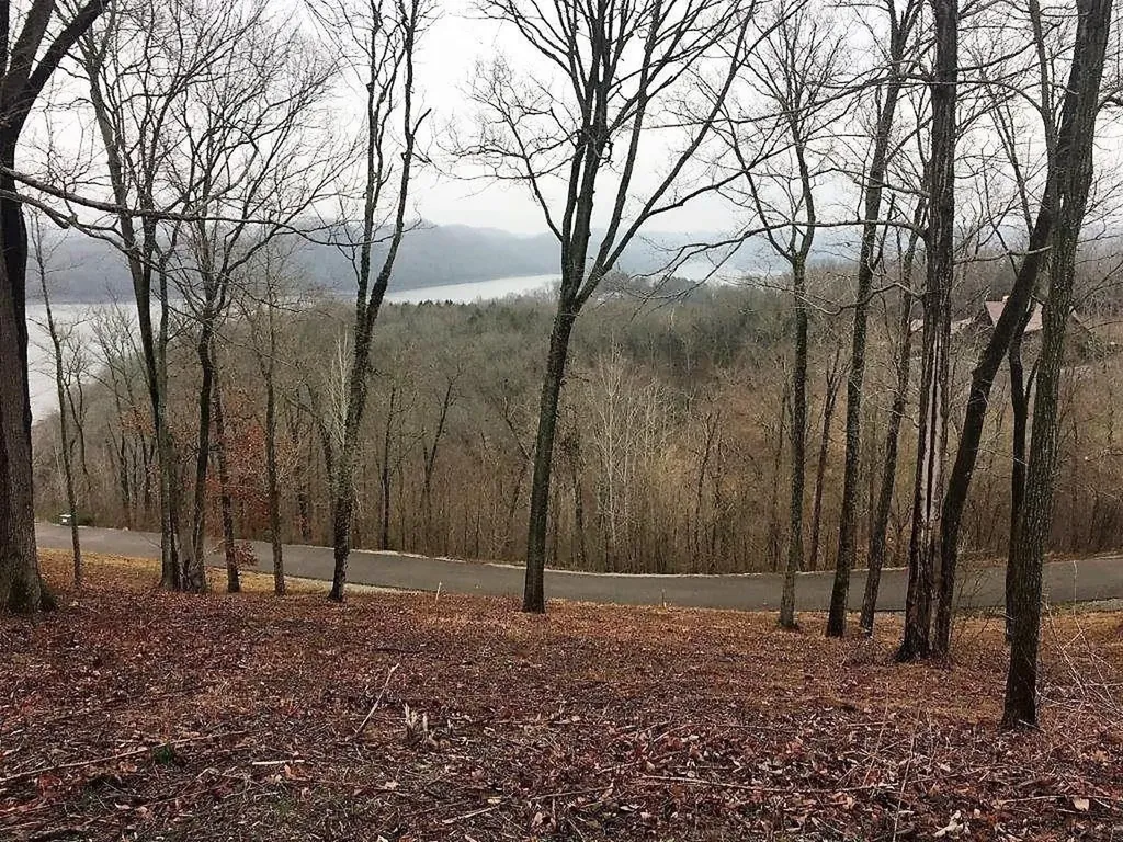 405 Maury Lane Smithville TN 37166