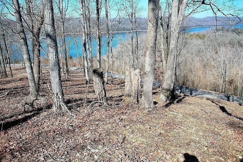 405 Maury Lane Smithville TN 37166