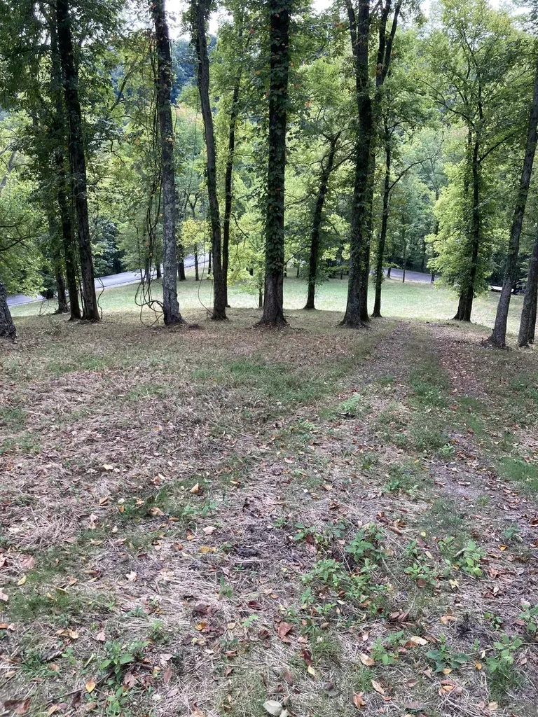 405 Maury Lane Smithville TN 37166