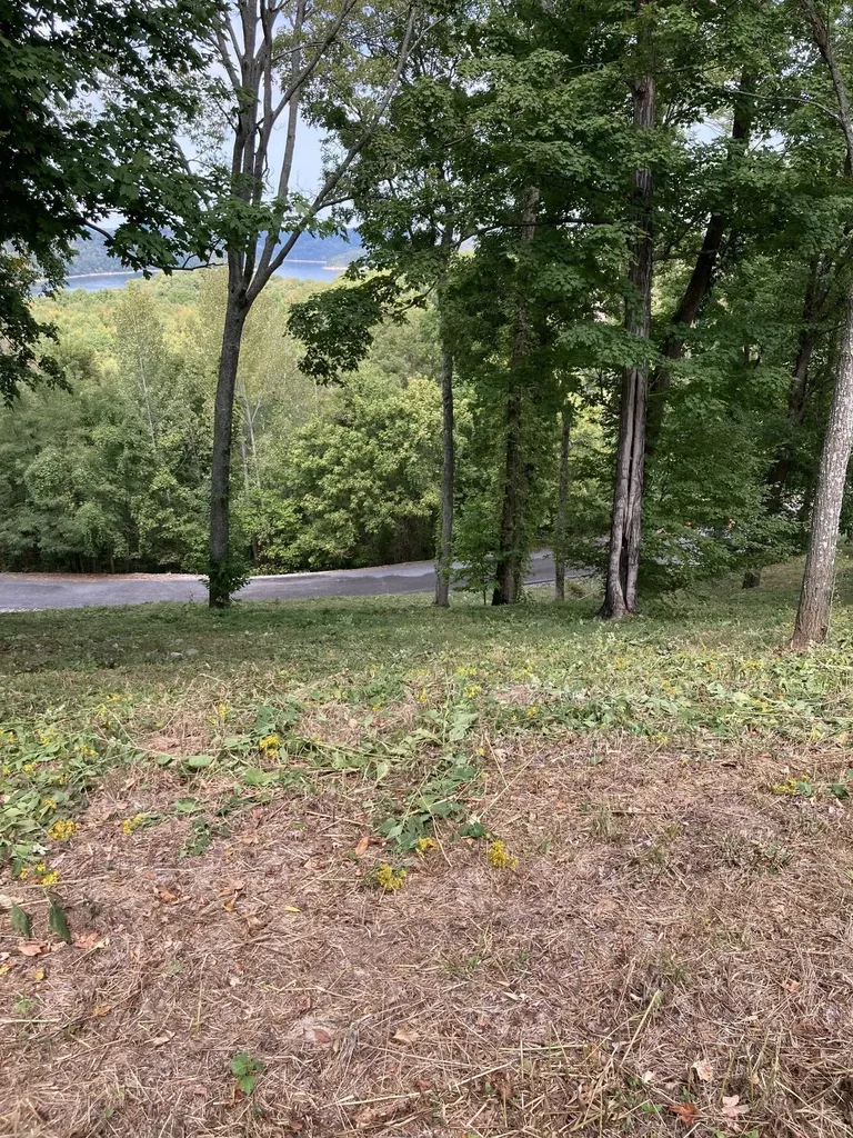 405 Maury Lane Smithville TN 37166