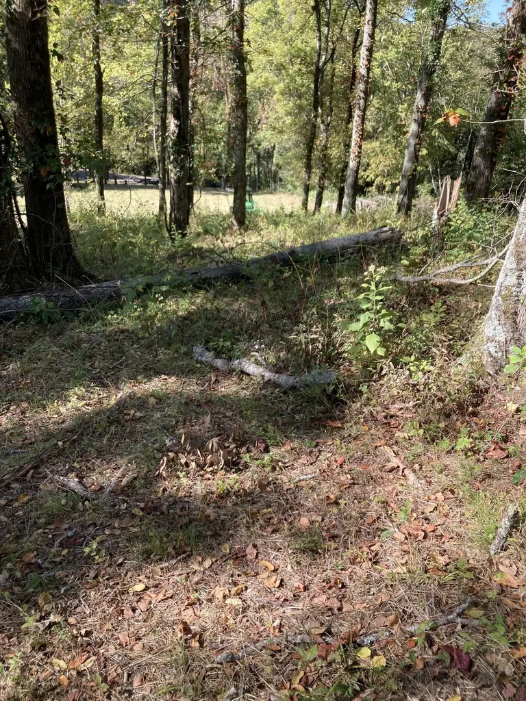 405 Maury Lane Smithville TN 37166