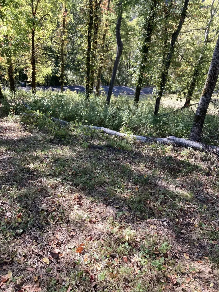 405 Maury Lane Smithville TN 37166