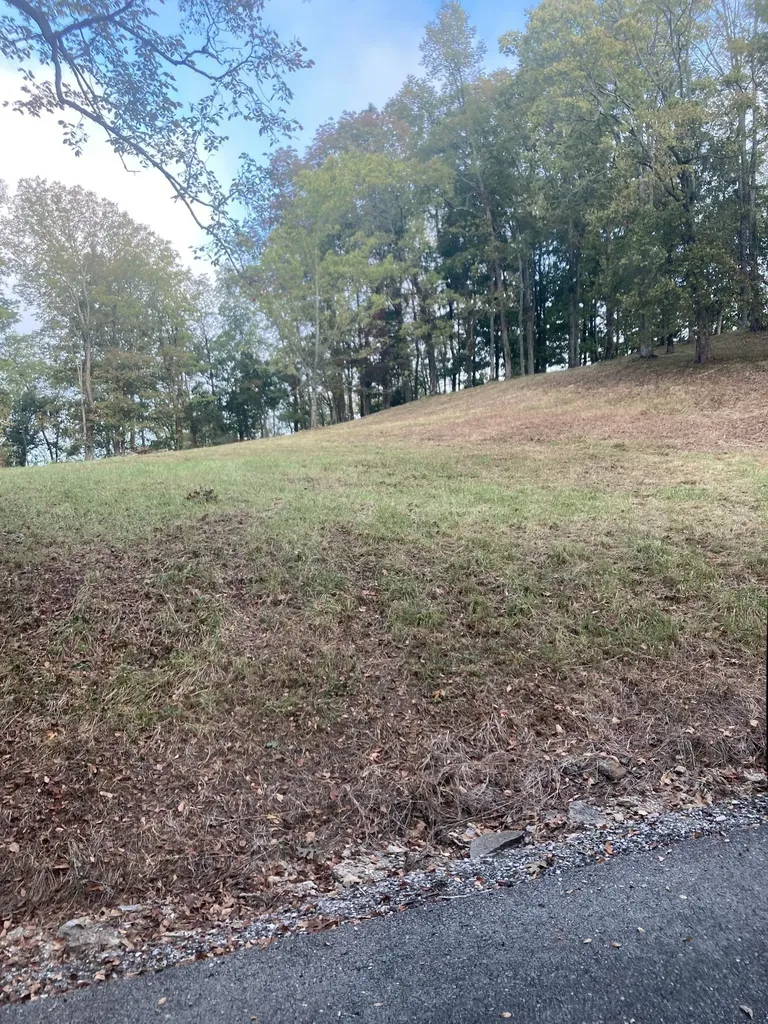 405 Maury Lane Smithville TN 37166