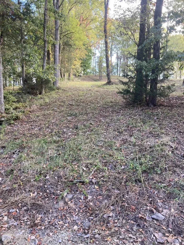 405 Maury Lane Smithville TN 37166