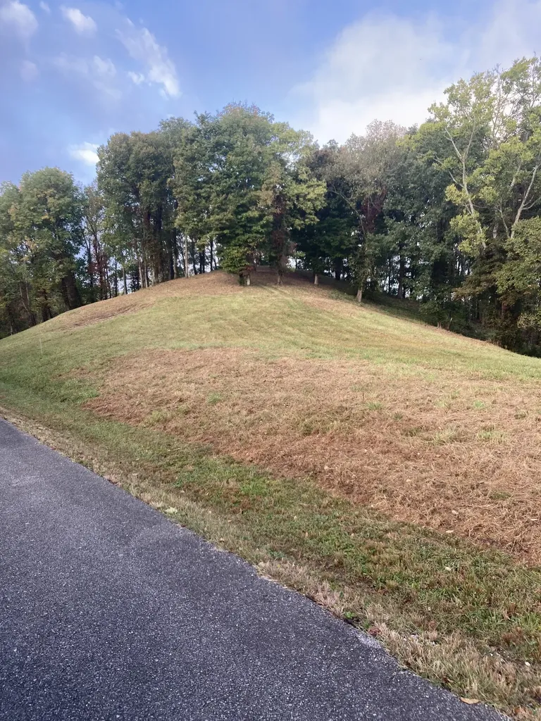 405 Maury Lane Smithville TN 37166