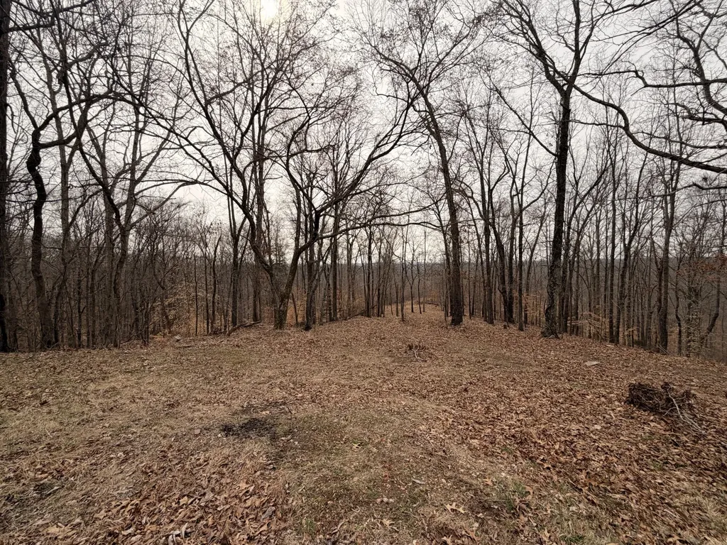 4474 Cumberland City Road Indian Mound TN 37079