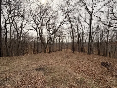 4474 Cumberland City Road Indian Mound TN 37079