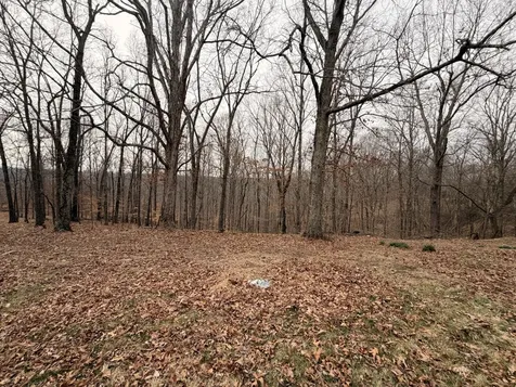 4474 Cumberland City Road Indian Mound TN 37079