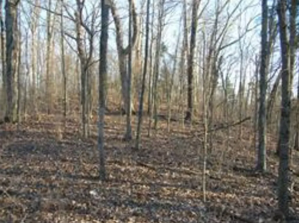 480 Old Hickory Boulevard Nashville TN 37209
