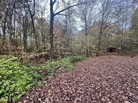 1509 Highway 49, E Ashland City TN 37015