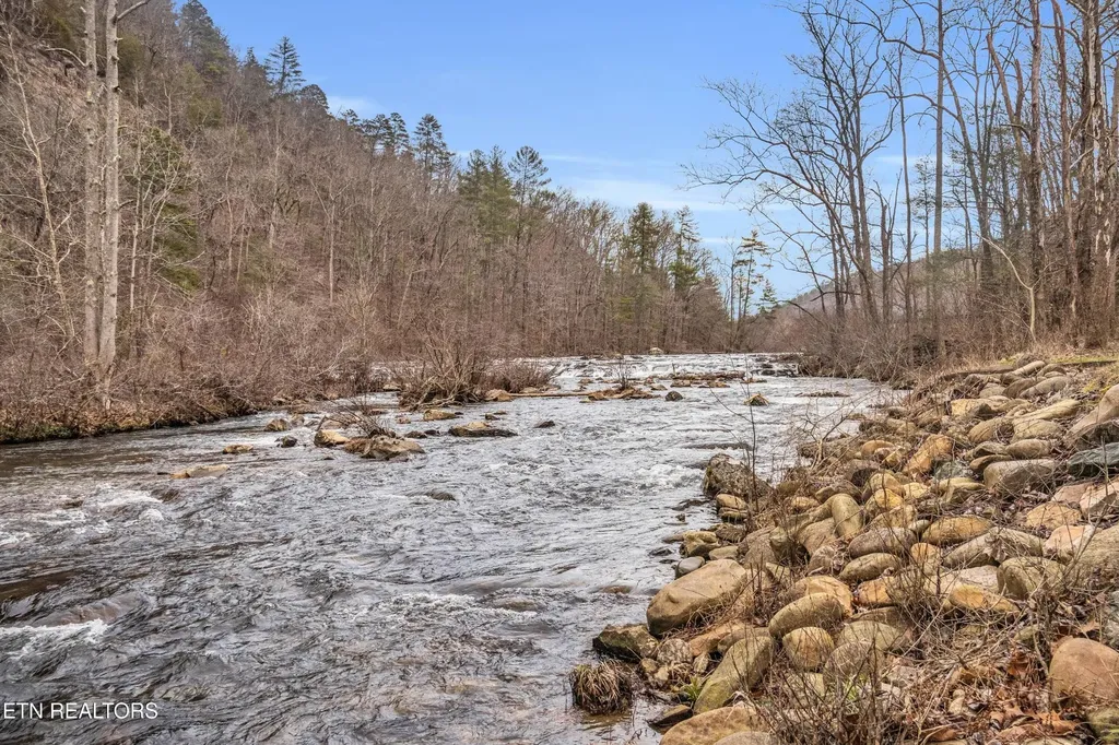 1667 Cherohala Skyway Tellico Plains TN 37385