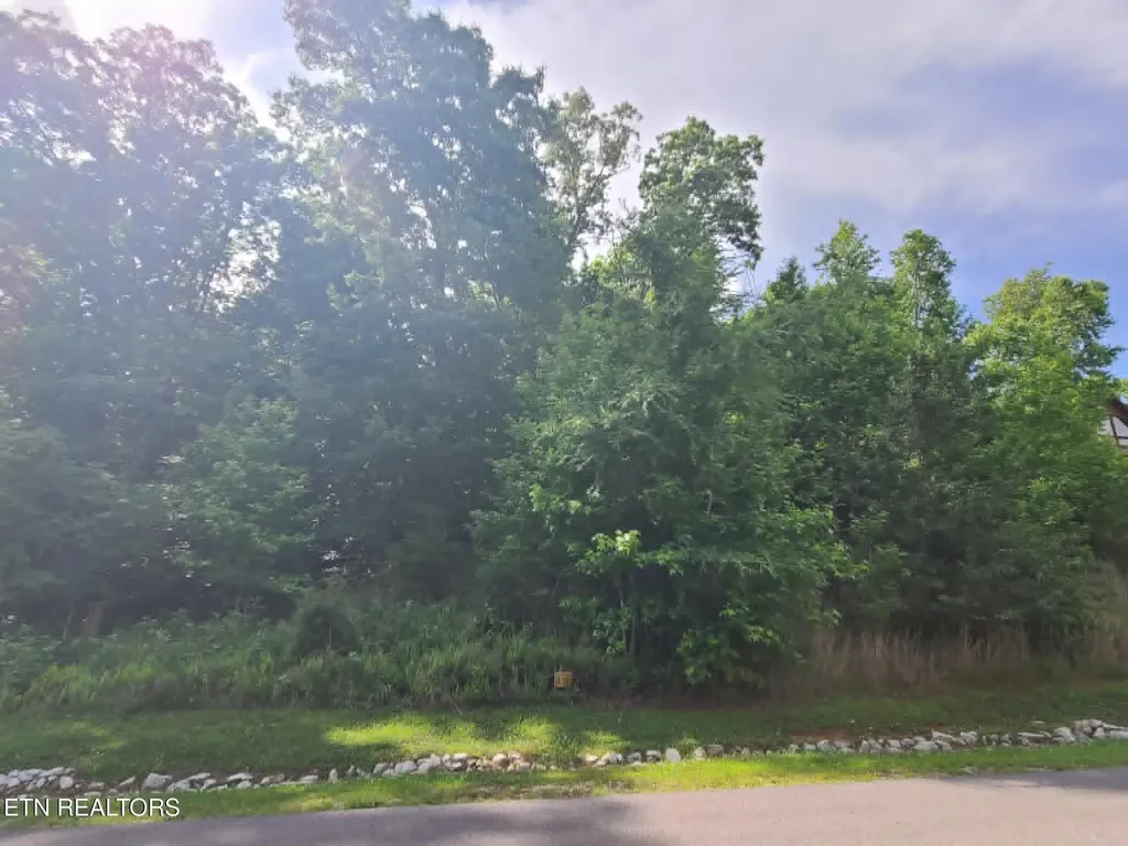 138 E Shore Drive Rockwood TN 37854