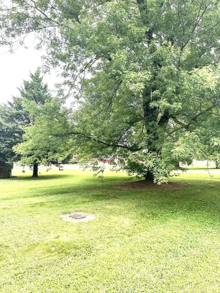 627 Baker Drive Lafayette TN 37083