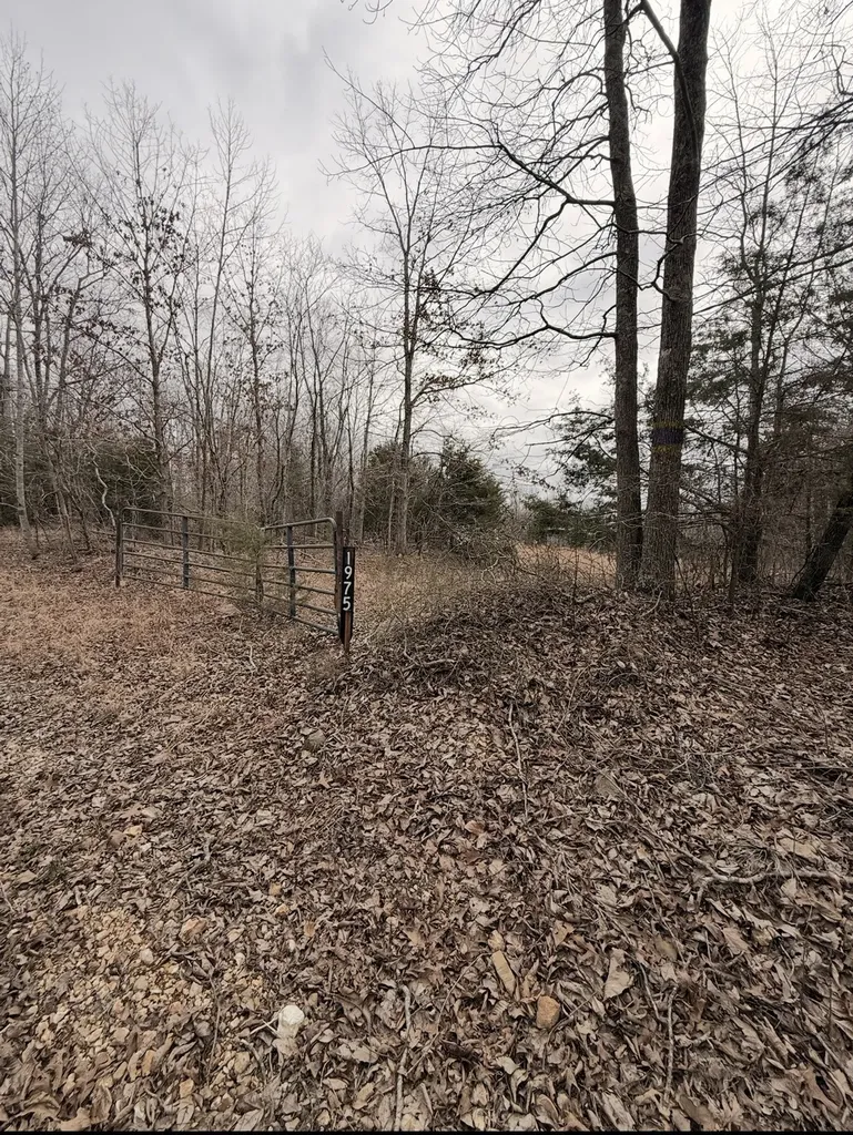 1975 Dogwood Road Hurricane Mills TN 37078