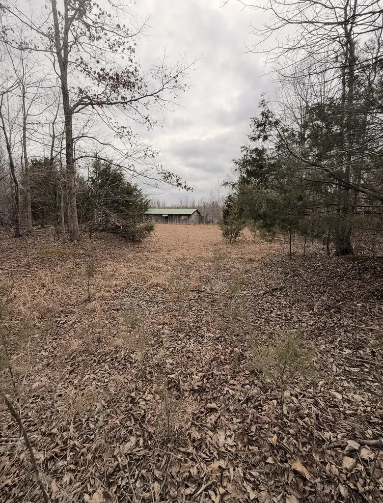 1975 Dogwood Road Hurricane Mills TN 37078