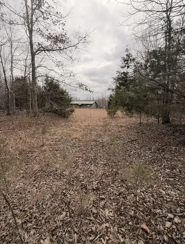 1975 Dogwood Road Hurricane Mills TN 37078