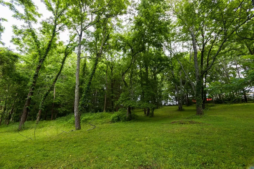 266 Denny Road Clarksville TN 37043