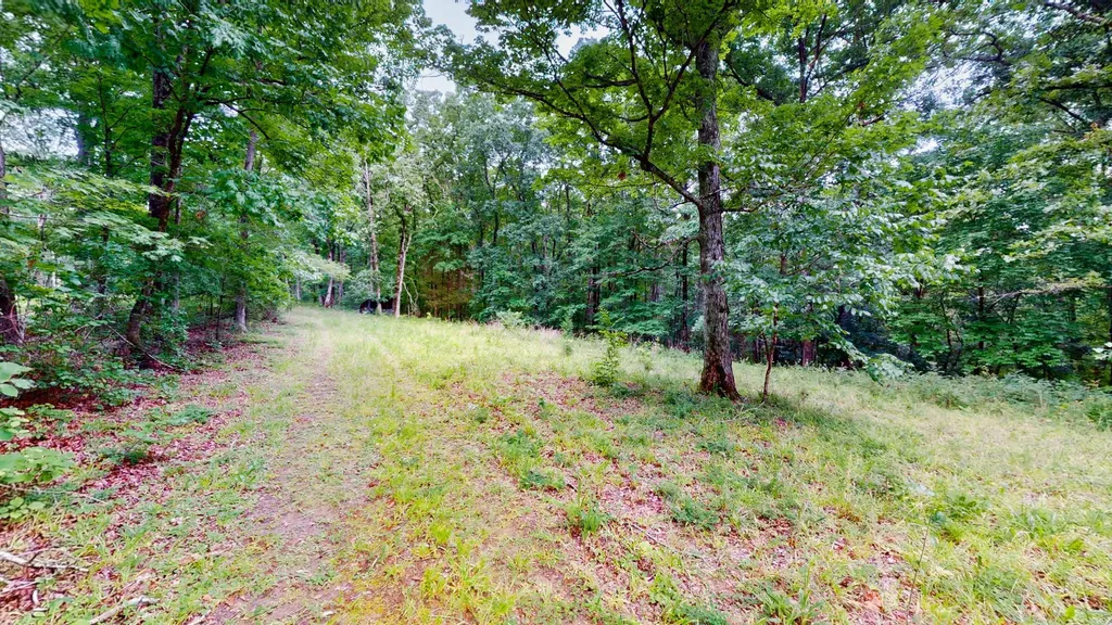 0 Little Hurricane Creek Mc Ewen TN 37101