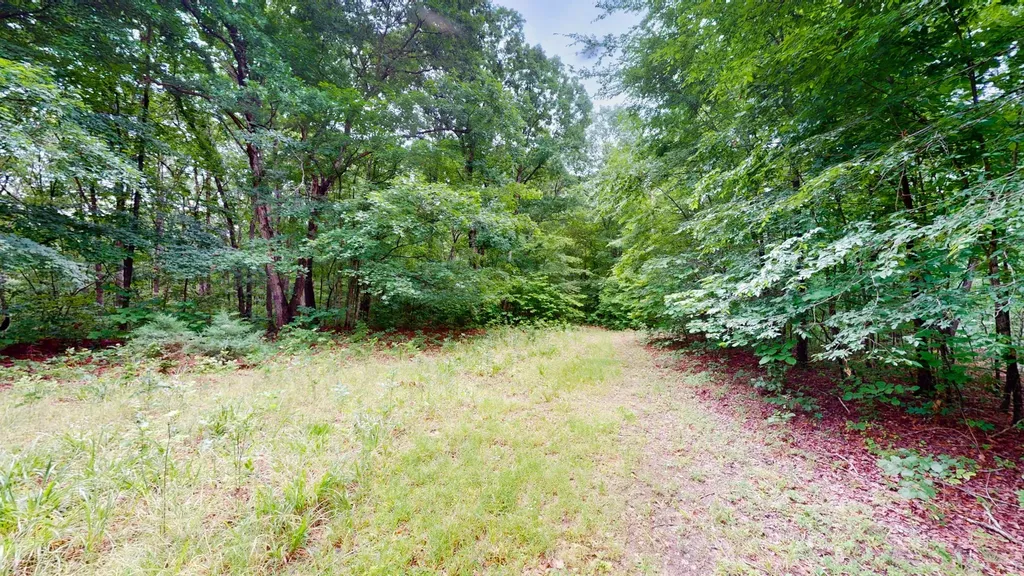 0 Little Hurricane Creek Mc Ewen TN 37101