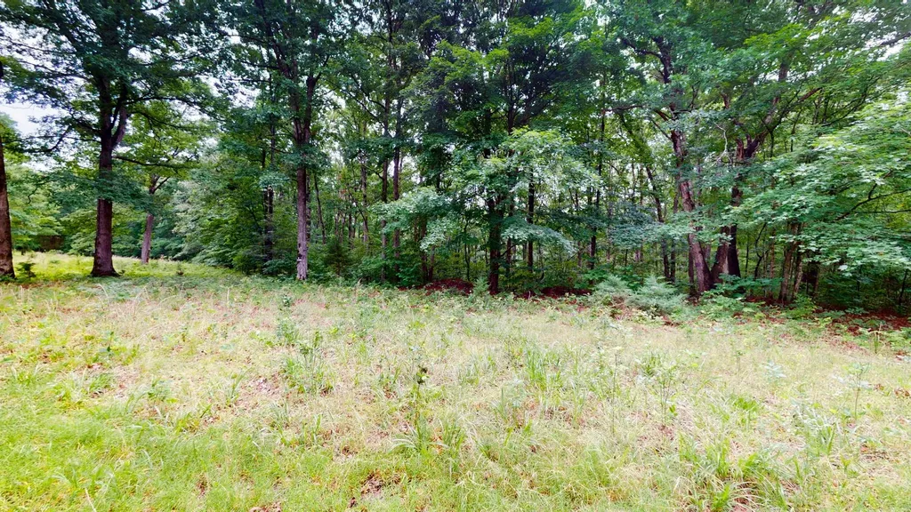 0 Little Hurricane Creek Mc Ewen TN 37101