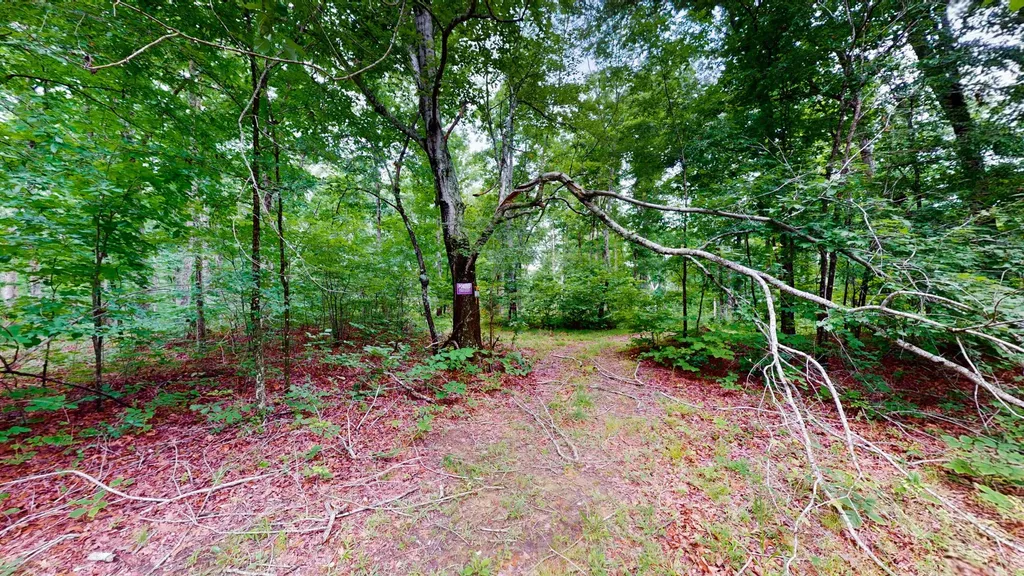 0 Little Hurricane Creek Mc Ewen TN 37101