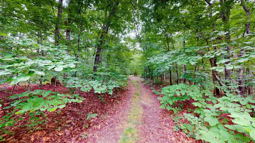 0 Little Hurricane Creek Mc Ewen TN 37101