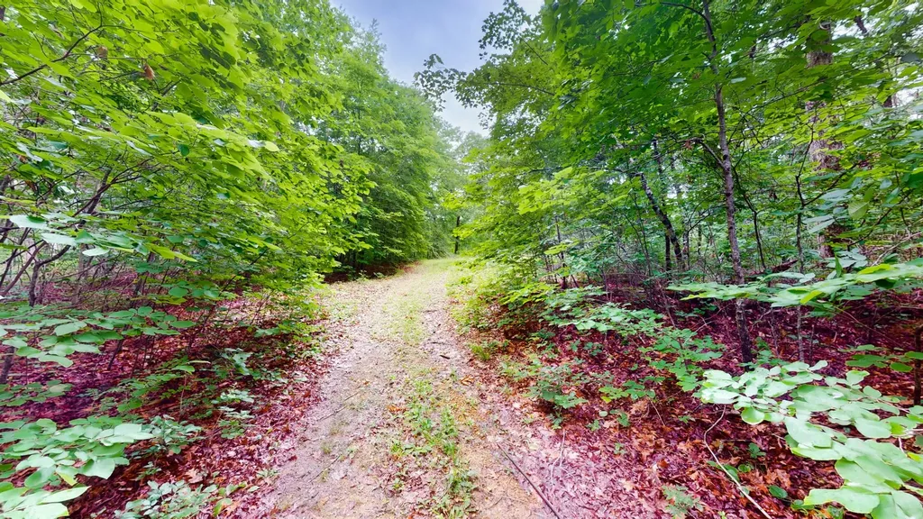 0 Little Hurricane Creek Mc Ewen TN 37101
