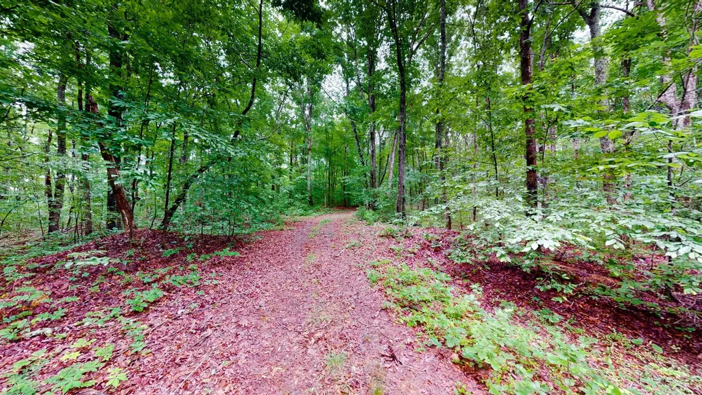0 Little Hurricane Creek Mc Ewen TN 37101