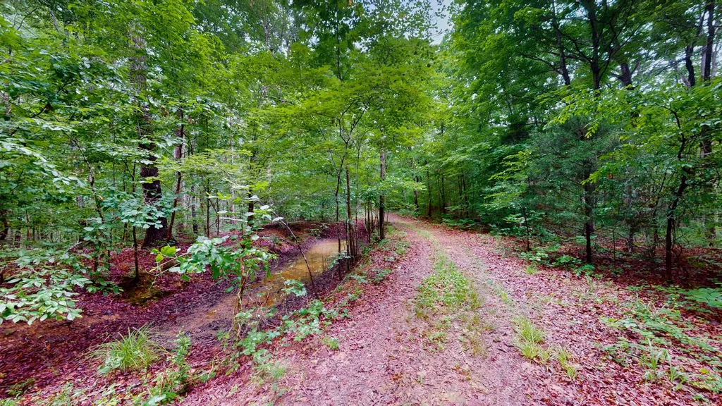 0 Little Hurricane Creek Mc Ewen TN 37101