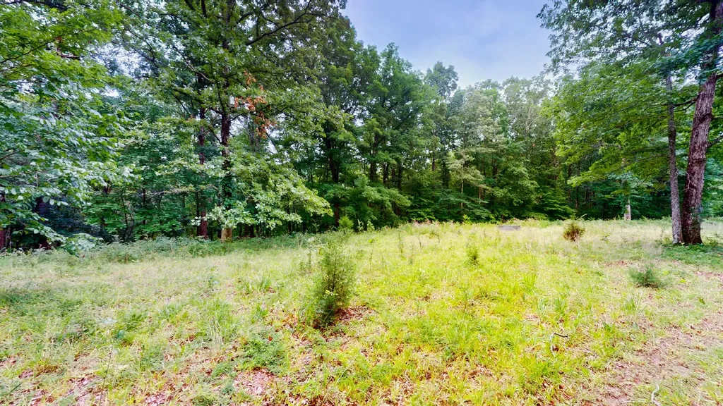 0 Little Hurricane Creek Mc Ewen TN 37101
